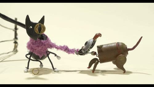 Os contos do camiño Bild 1