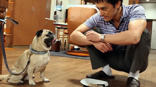 結婚できない男 Bild 2