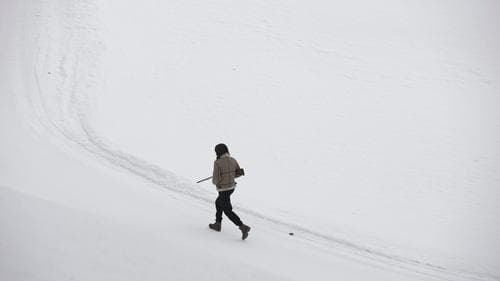 Let Her Kill You Bild 1