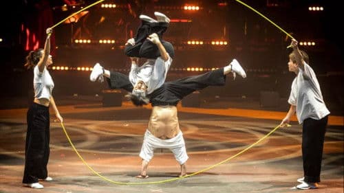 Le Cirque Phénix - 25 ans Bild 4