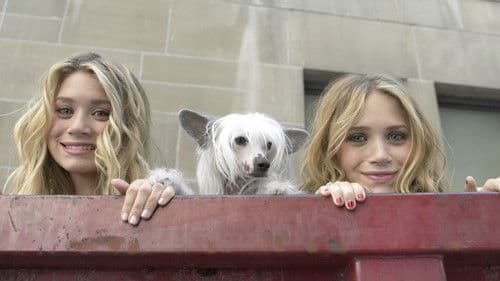 Ein verrückter Tag in New York Bild 2