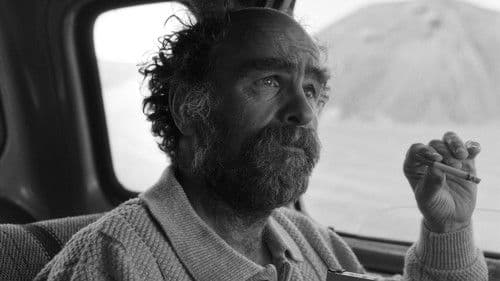 A Perfect Day for Caribou Bild 2