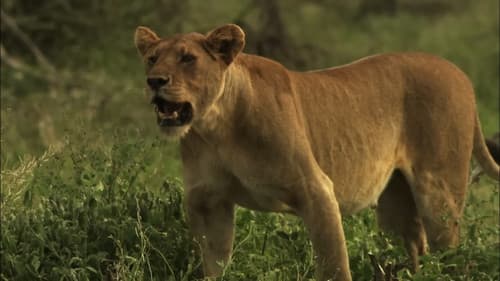 Creative Killers Bild 4