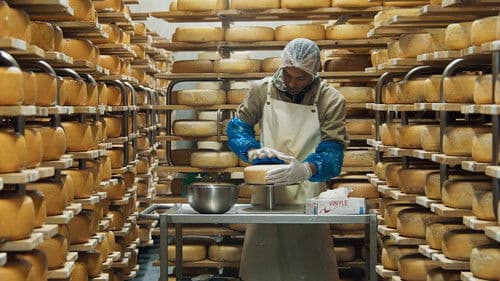 Menus-Plaisirs, les Troisgros Bild 8