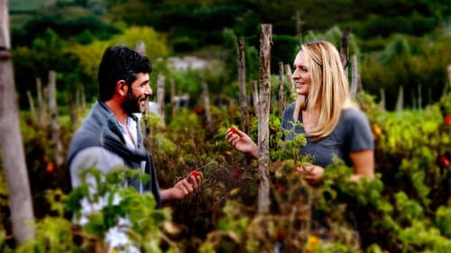The Global Farm Bild 4