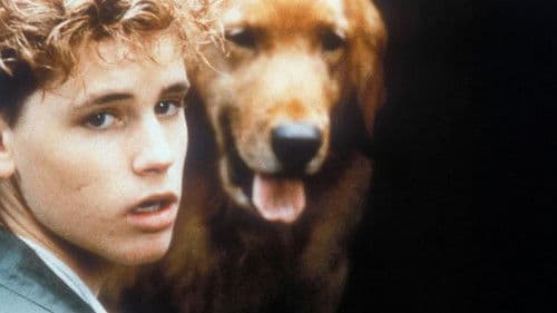 Watchers - Gnadenlos gejagt Bild 4