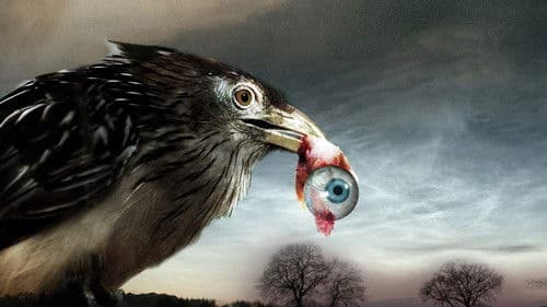 Flu Bird Horror Bild 2