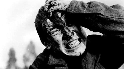 Komm und sieh Bild 3