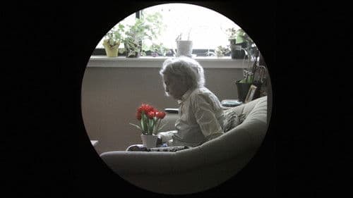 Wind Through a Tree Bild 4