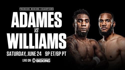 Carlos Adames vs. Julian Williams Bild 2