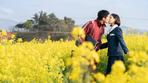 When Life Gives You Tangerines Bild 2