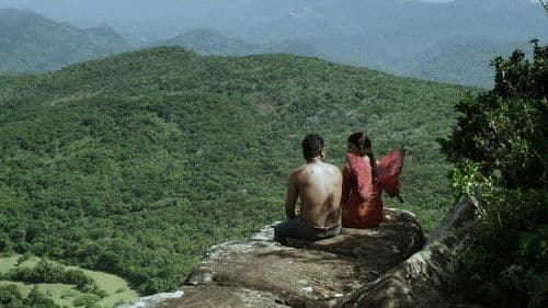 රතු සමනල හීනයක් Bild 2