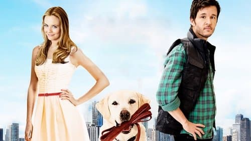 Wer kriegt den Hund? Bild 4