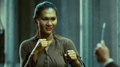 มนุษย์เหล็กไหล Bild 6