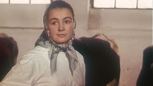 Стежки – дорожки Bild 1