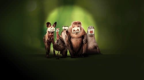 Underdogs: Außenseiter des Tierreichs Bild 1