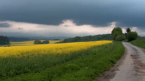 Zpět k pramenům Bild 3