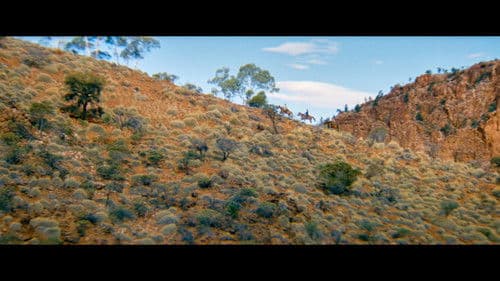 The Tracker - Im Zeichen der Rache Bild 3