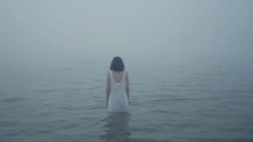 Memoria de un pez Bild 2