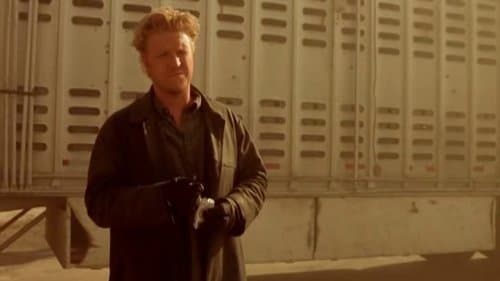 Hitcher Returns Bild 1