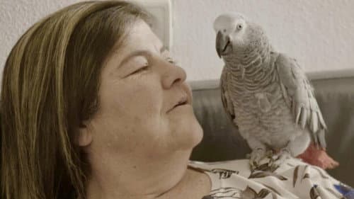 7 מונולוגים על זנות Bild 1