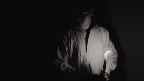 De gedaanteverwisseling Bild 1