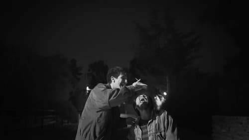 Del Caminar en el Cine Bild 1