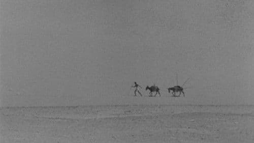 شكاوى الفلاح الفصيح Bild 2