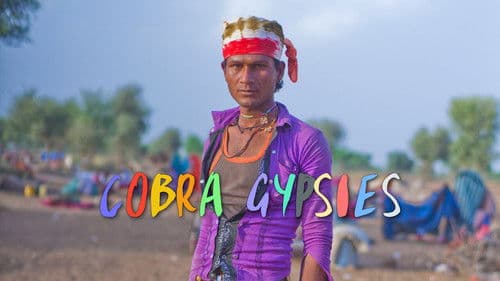 Cobra Gypsies Bild 1