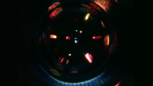 Circus Savage Bild 1