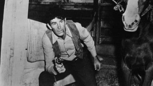 Weiße Banditen Bild 7