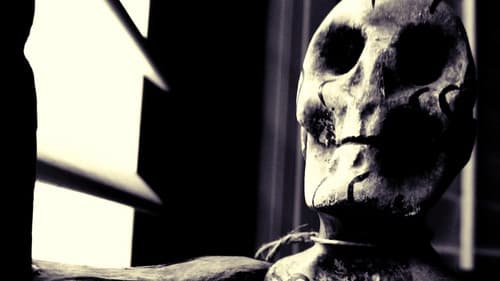 After the Flesh Bild 1