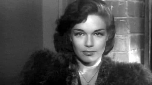 Die Schenke zum Vollmond Bild 5