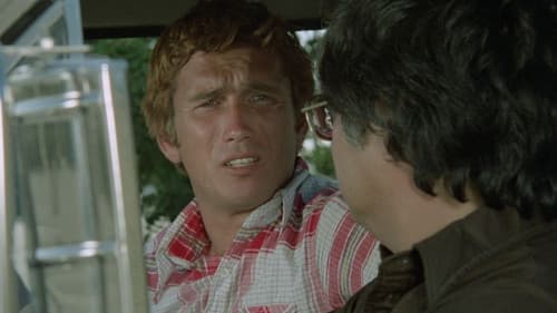 マッハ’78 Bild 2