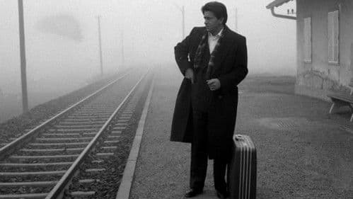 Der stille Ozean Bild 2