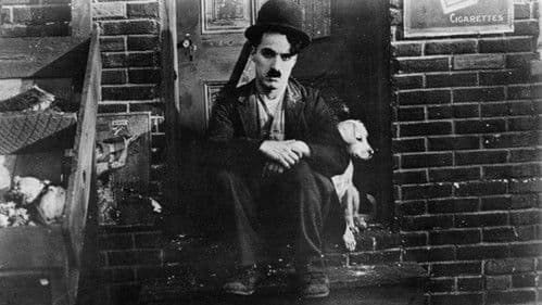 Ein Hundeleben Bild 6