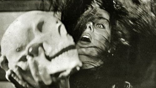 İntikam Meleği: Kadın Hamlet Bild 4