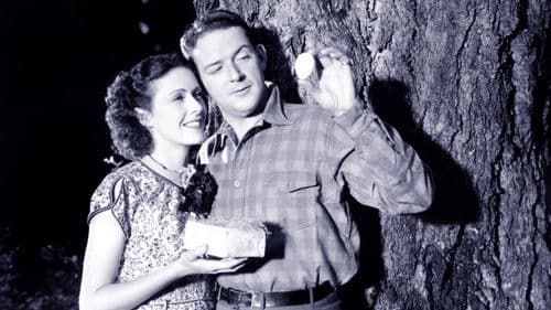 Fury and the Woman Bild 1