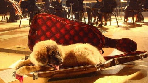 Kleine Hände, große Pfoten Bild 8