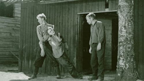 De vergeløse Bild 1