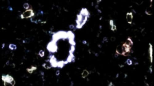 Das elegante Universum Bild 2