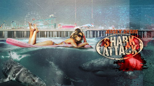 Jersey Shore Shark Attack Bild 7