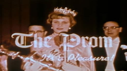 The Prom: It's a Pleasure! Bild 1