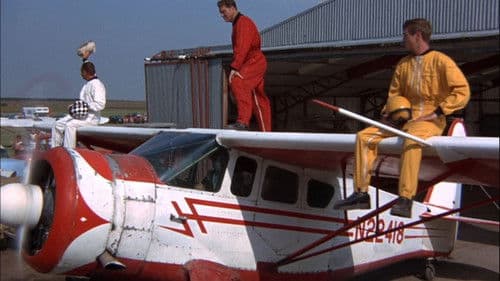 Die den Hals riskieren Bild 3