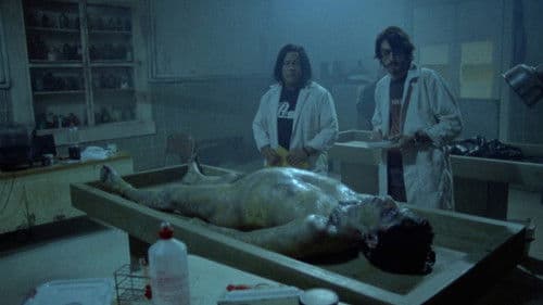 La luz en el cerro Bild 4