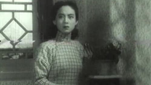 夜来风雨声 Bild 1