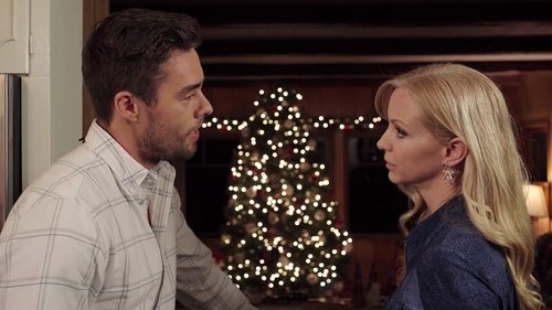 A Holiday Boyfriend Bild 1