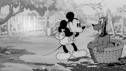 Pluto will spielen Bild 5