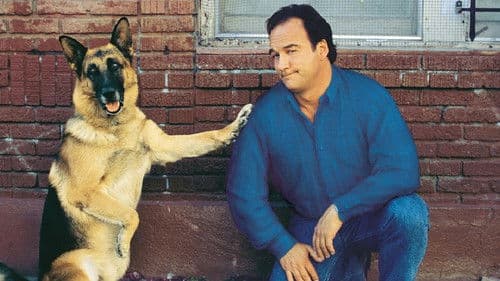 Mein Partner mit der kalten Schnauze 2 Bild 4