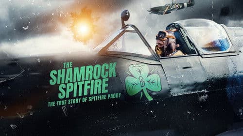 The Shamrock Spitfire Bild 6